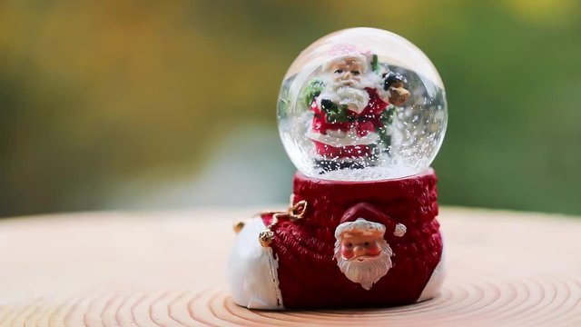 Christmas Snow Globe Snowflake