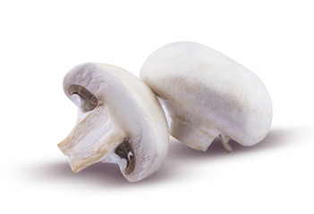 Champignons are isolated on a white background