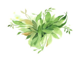 Watercolor floral background of green branch, leaves and grass