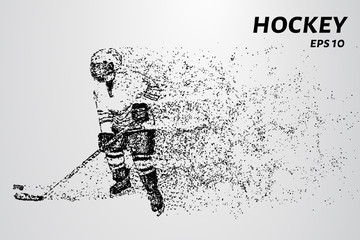 Obraz na płótnie Canvas Hockey from the particles. Hockey consists of circles and points. Vector illustration