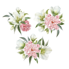 Bouquet of hellebore and peonies. Hand drawn watercolor flowers set