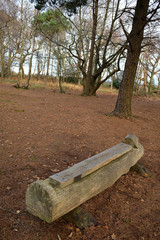 Woodland Bench
