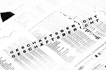 Geschäftsbericht