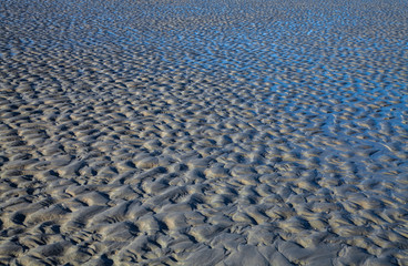 Schlickwatt bei Niedrigwasser