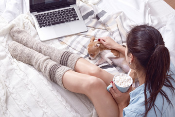 Beautiful brunette woman Merry Christmas morning drink sweet hot cacao with marshmallow wear home pajamas knitted wool socks watch in laptop plaid New Year eve read book winter mood pet dog chihuahua.