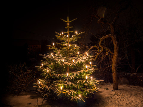 Frohe Weihnachten!