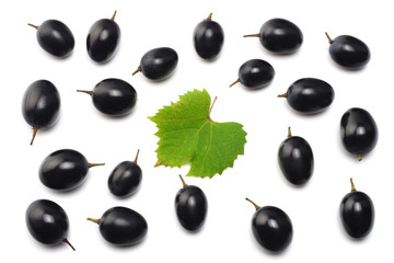 blue grapes berries with leaves isolated on white. top view