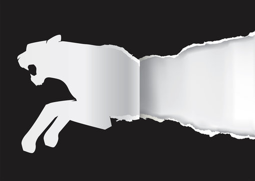Paper Tiger ripping black paper. 
Silhouette of tiger ripped paper.Place for your text. Vector available. 
