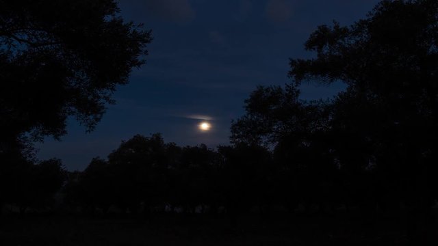 Fullmoon Timelapse and Cloud Passing Footage