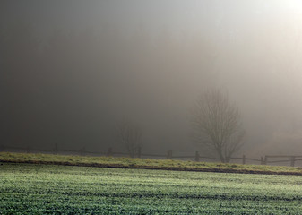 Urokliwe Jesienne Pole Tusz Przed Śnieżycą 