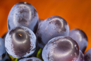Berry blue wine grapes on a red saucer