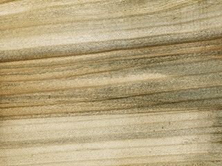 wood texture, natural tree pattern