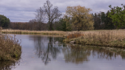 Fototapeta na wymiar landscape of wetlands in autumn 