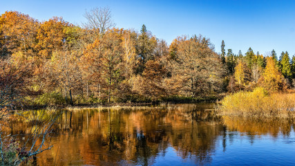 Fototapeta na wymiar lake with water reflections in colorful autumn day with colored trees