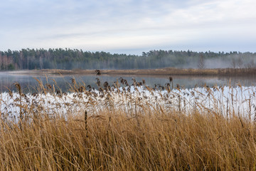 lake with water reflections in colorful autumn day