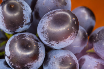 Berry blue wine grapes on a red saucer