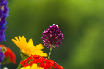 a bouquet of bright spring flowers of various types