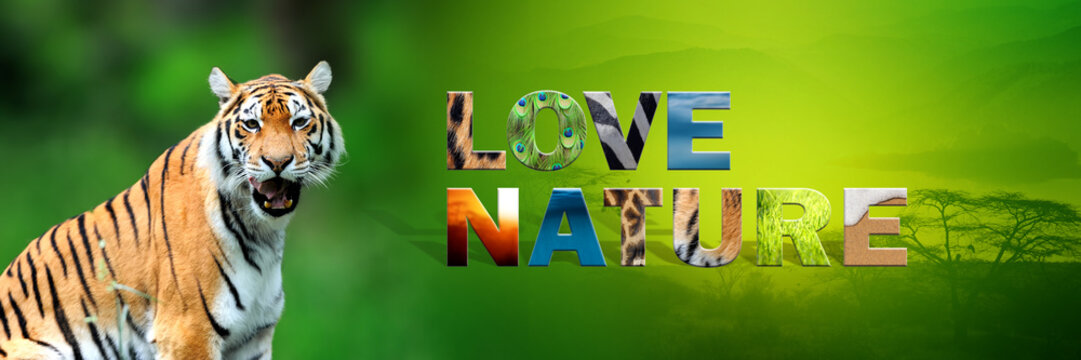 Fototapeta Tiger with text Love Nature