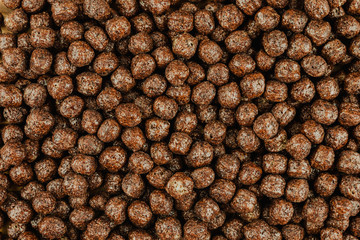 Background of brown cold cereals, top view, quick breakfast for kids