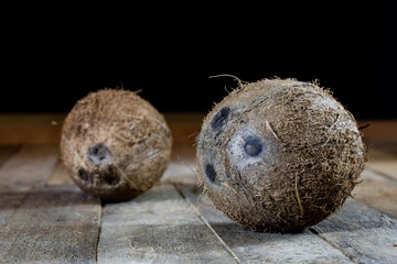 Split coconut, coconut juice, coconut milk