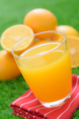 Glass of freshly pressed orange juice and slices of orange on green grass