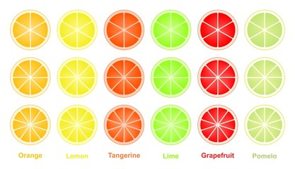 Colorful set of cut slices of citrus fruits of orange, lime, grapefruit, tangerine, lemon and pomelo. Mixed fresh health fruit. 