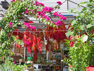 March&eacute; Jean Talon, Montr&eacute;al