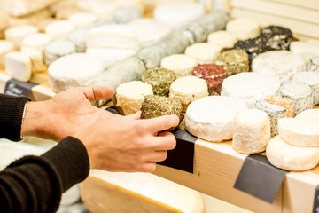 Cheese seller putting goods on the shelves at the cheese store