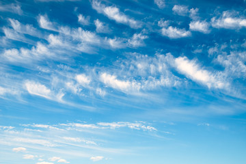 Naklejka na ściany i meble Blue sky with large cumulus clouds