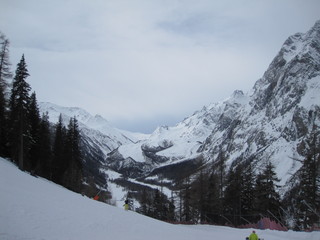 Fototapeta premium neve