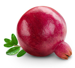 pomegranate fruit isolated
