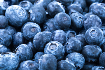 Ripe Blueberry background