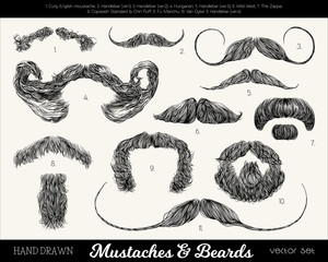 Vector set with mustaches and beards. Hand drawn illustration with fashionable men's styles. Linear Graphics. Kinds and names of moustaches