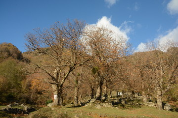 Fototapeta premium PAESAGGIO MONTANO INVERNALE,CAMPANIA,SUD ITALIA.