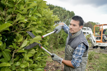 Trimming the hedges