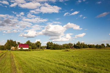 Beautiful green sunny rural landscape with trees and clouds