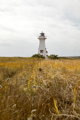 Fototapeta na wymiar Lighthouse in tall grasses, Prince Edward Island, Canada