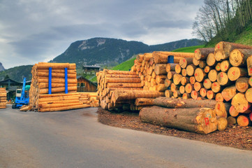 Holz Holzhandel  Bauholz  Schnittholz  Holzwirtschaft  Brettschnittholz Holzwerkstoff  Wald  Bäume...
