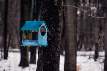 Bird feeder in the winter park