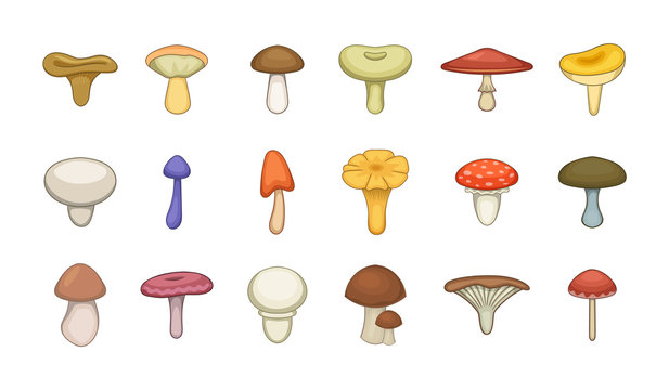 Mushroom icon set, cartoon style