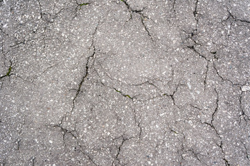 Gray asphalt in cracks.