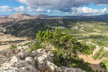 Stony landscape of Tsambika mountain, it is overgrown with wood. Rhodes Island, Greece.