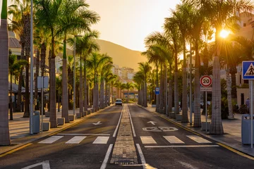 Fototapeten Avenue las Americas in Playa de la Americas on Tenerife, Canary Islands in Spain. © Ekaterina Belova