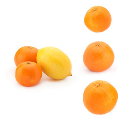 Orange tangerines and yellow lemon on a white background