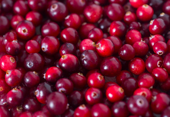 fresh cranberries on white wooden surface
