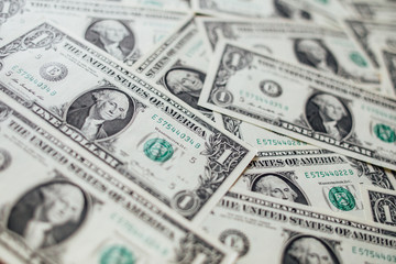 US dollar cash banknote money