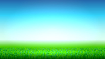 Fototapeta premium Meadow, lawn or field of grass