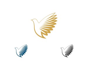 Bird Logo Template