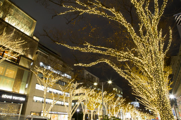 Omotesando winter illumination 2017