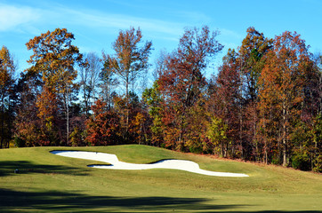 golf course and trees